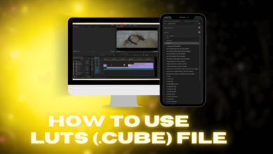 How to Use LUTs (Look-Up Tables) for Video Color Correction