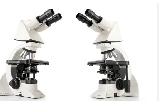 Clipart:1pvt61isvzo= Microscope