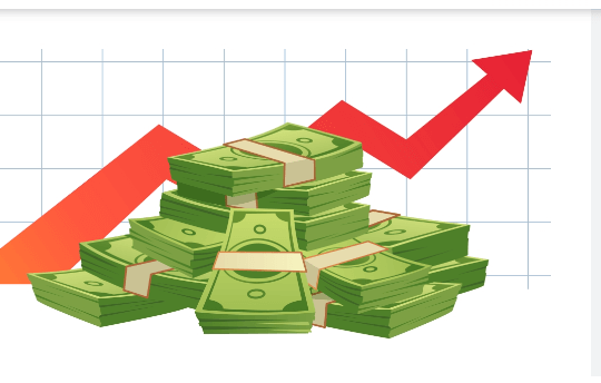 Csapunch Net Worth