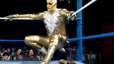 Gold Dust Net Worth: Wrestling Star's Financial Journey