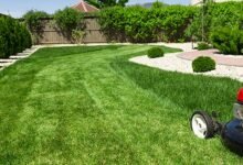 Keep Your Lawn Fresh with Grass-Cutting Services in Edmonton