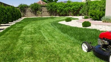 Keep Your Lawn Fresh with Grass-Cutting Services in Edmonton