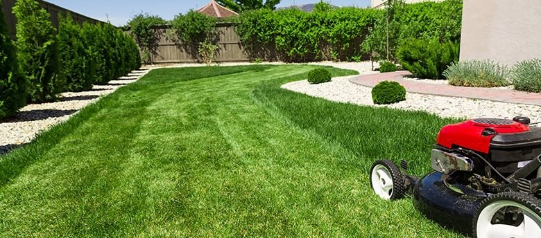 Keep Your Lawn Fresh with Grass-Cutting Services in Edmonton