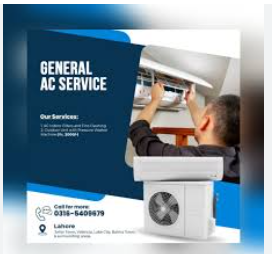 9194282035: General Service Number