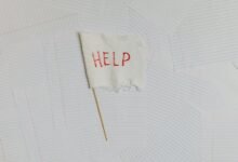 business help line number