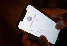 business support phone number
