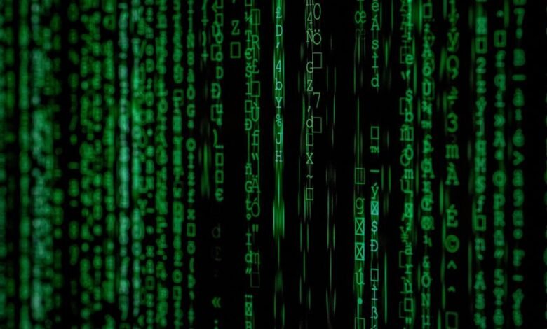 decoding complex identification number