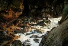 enigmatic underground wonderland revealed