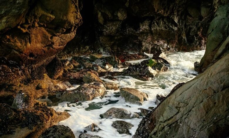 enigmatic underground wonderland revealed