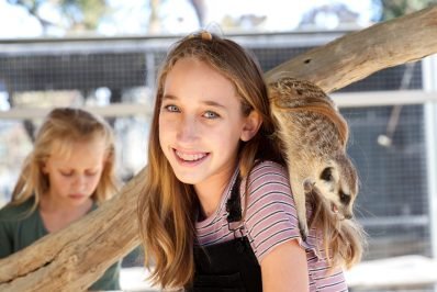 Wild Wonders Await: The Best Zookeeper Experience For Young Adventurers
