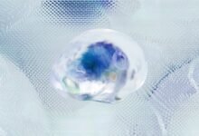 apex vector neural wave