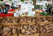 titan path market node 900850751