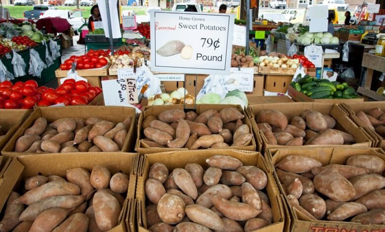 titan path market node 900850751